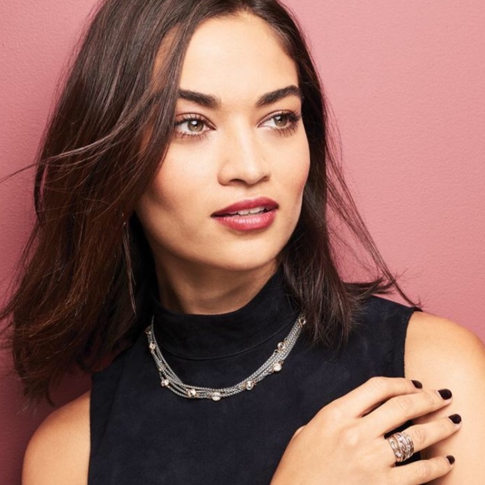 Stainless Steel and Gold Layered Necklace